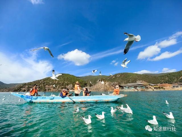 一年中最后一场华丽的秋色，鹤庆泸沽湖休闲5天游！11月底出发