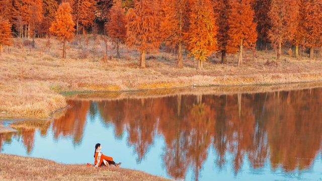 游在鹰潭 | 初冬漫游攻略：丹霞、杉林、林海的诗意三重奏【全球学子嘉游赣 奇绝鹰潭逍遥游】