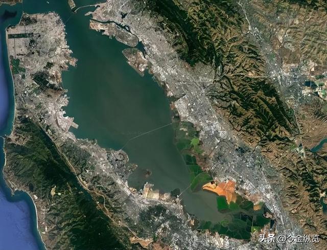 AI假图杀疯了！美俄情报机构中招，五角大楼为它背黑锅，股市惊魂