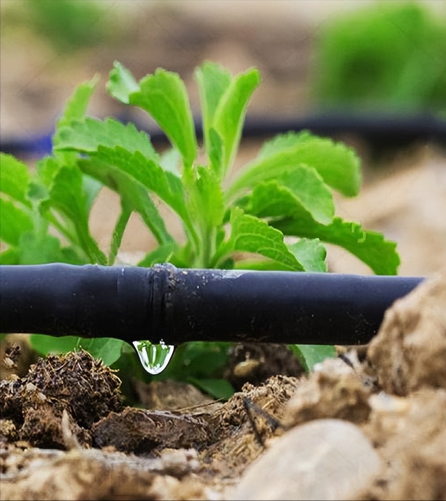 月薪8000留不住人，牧民靠万亩草场维生，新疆的上限下限超乎想象