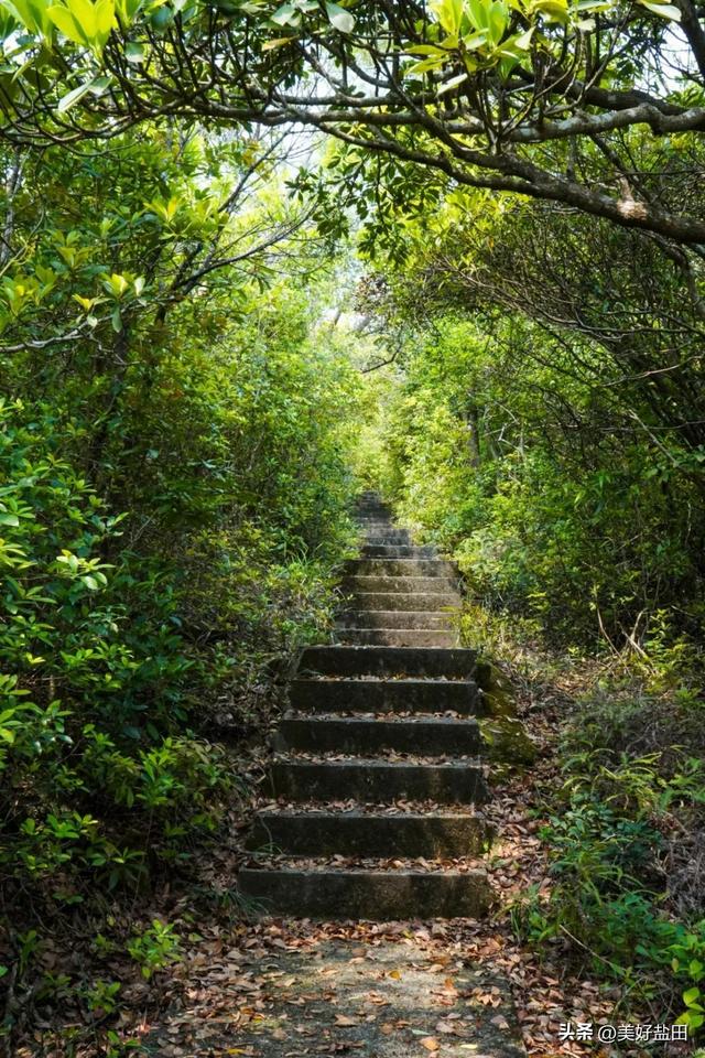 到底要怎么走出浪浪山，答案是→