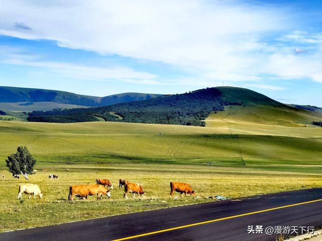 我走过的草原天路，应了谑语“后浪推前浪，后浪拍在沙滩上”