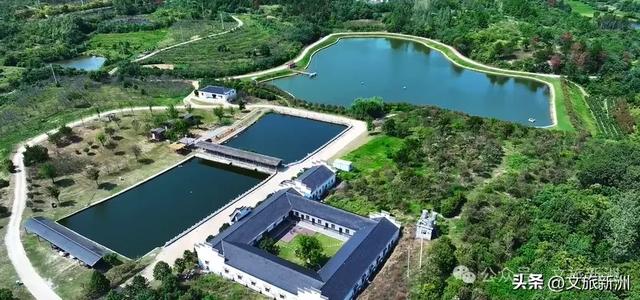 国家3A+1！新洲这个景区“糖分”已超标，有点好嗑，速来！