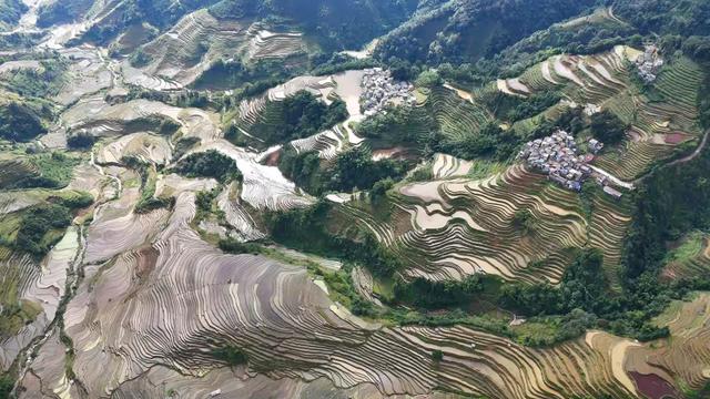 【秀美绿春】将初冬的色彩，藏进梯田的褶皱里