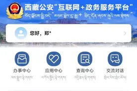 无犯罪记录证明可以线上办理了（附操作指南）图片