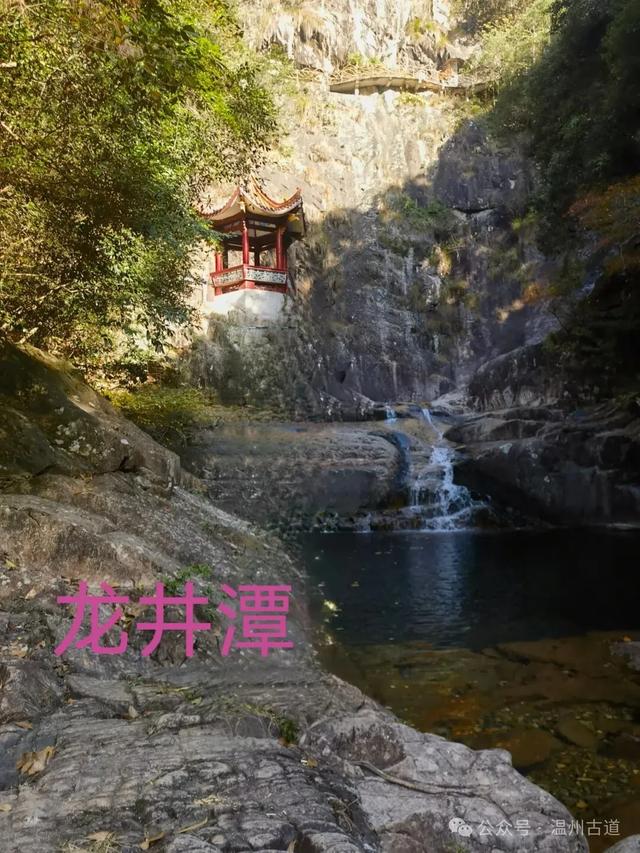 温州这个国家森林公园藏着深秋醉美的秋色，你可去过？