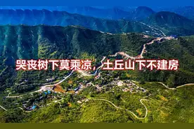 老人说“哭丧树下莫乘凉，土丘山下不盖房”，哭丧树、土丘山是啥图片