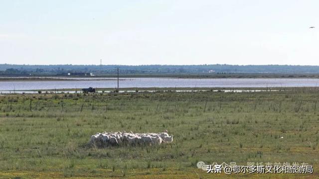 鄂托克前旗：闯进现实版绿野仙踪 邂逅巴彦希泊日草原