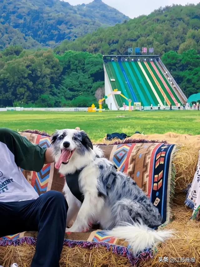 常州唯一！度假区成功入选“2025旅游项目高质量建设运营典型案例”