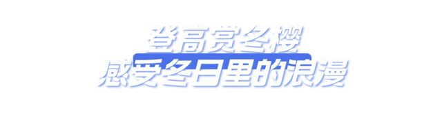 普洱，不止四季！🥰