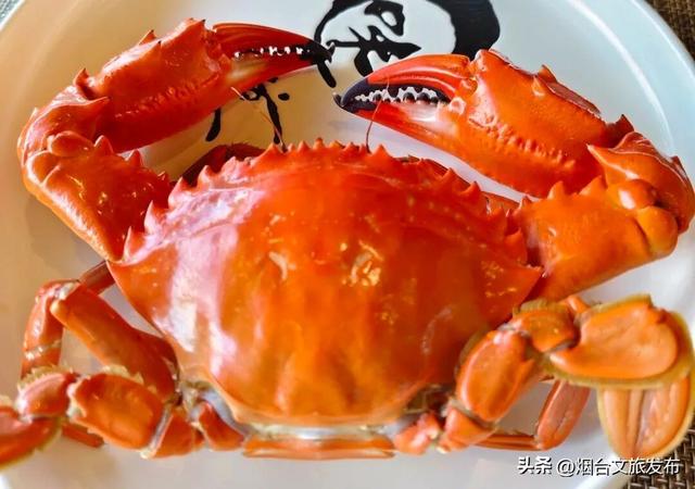 【乐游烟台】挖到宝了！烟台这些冷门秘境限时优惠，人少出片！