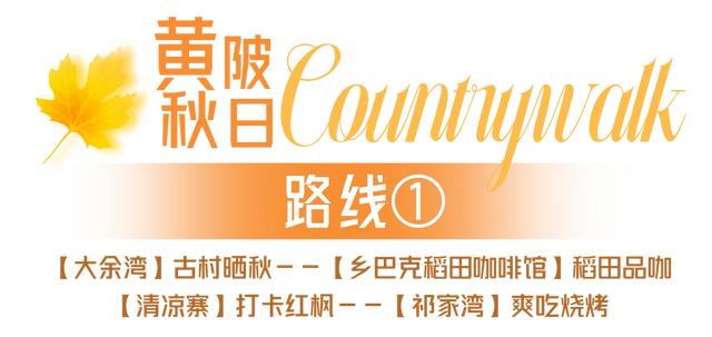 黄陂秋日Countrywalk!承包你的朋友圈九宫格