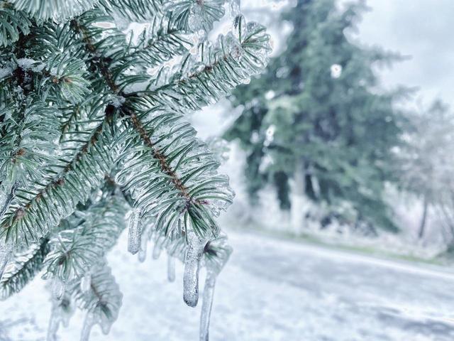 今日三九	，“最怕三九是晴天”，晴天啥预兆？为何怕？农谚说透了