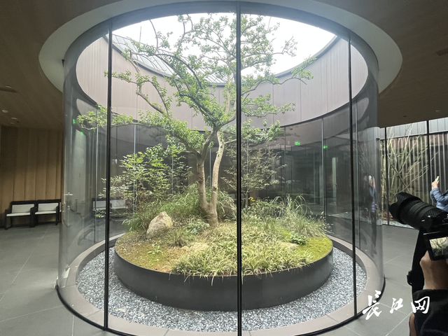 寻“味”咸宁，温泉美食令武汉摄影家沉醉