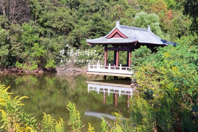 浙江绍兴少有人来的湖泊，景观步道被红杉掩映，平日秀丽秋色更美