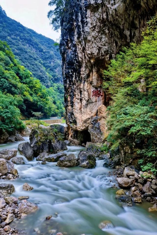 藏不住了！嘉陵镇这份治愈系美景，承包你所有的诗和远方～