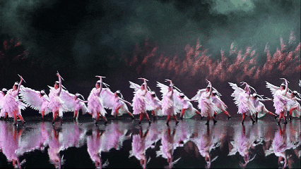 快来抱抱~ | Welcome to 疯狂·武夷山·动物城