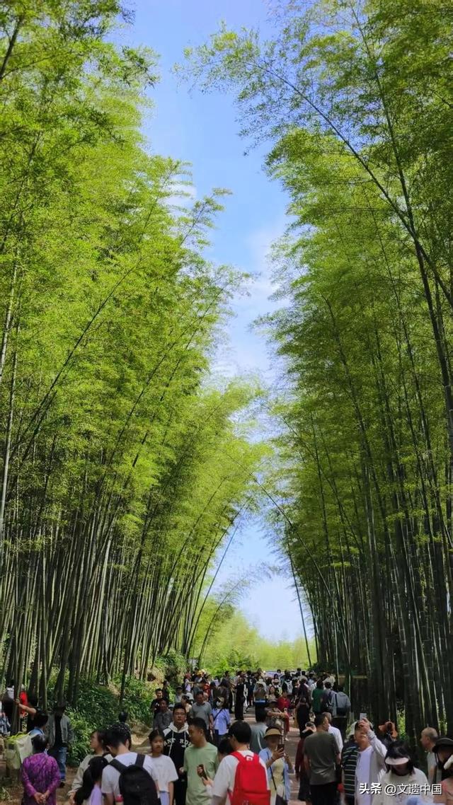 春晚为何到宜宾？万里长江第一城，华夏大地独有的五大文化座标