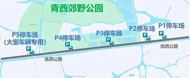 上海人的“宝藏后花园”全面升级啦！水上森林玩出新花样，这份攻略请收好！
