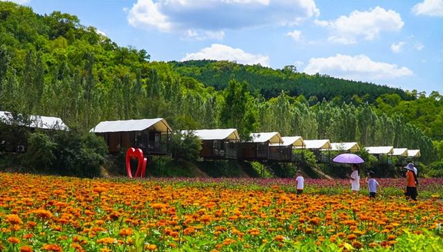 这么凉 那么近~快来合水县开启一场 26°C 的避暑之旅吧！
