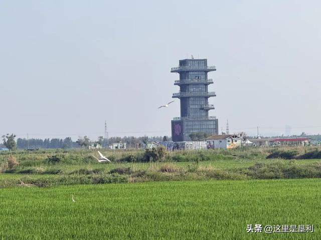 东营好网民·垦利文旅行 | 共赴“黄河入海之约，解锁大美垦利”文旅画卷