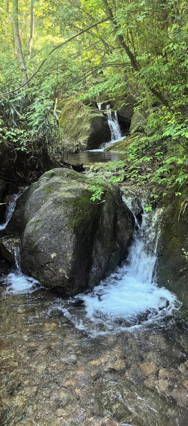 绍兴梅坞古道一条 对新手小白特别友好的线路