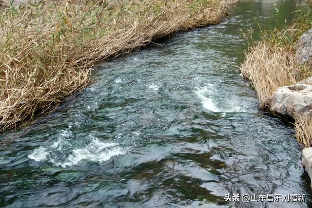 小丹河(老坝河水库西段)立冬那天的风光