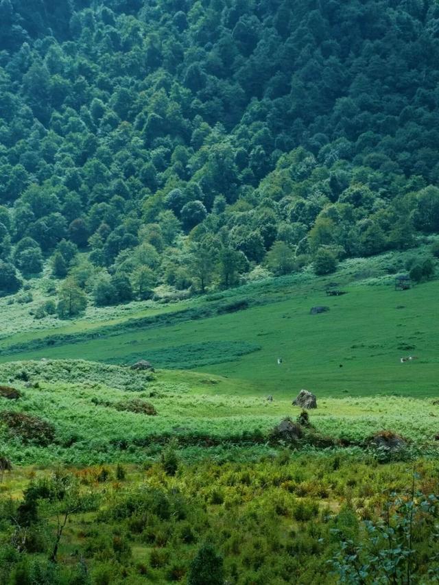 知道小凉山彝乡峡谷有多壮观吗？城巴佬！