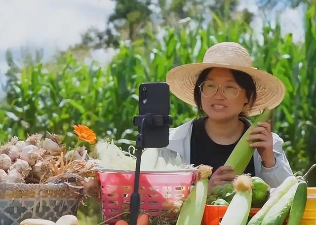 一年五千亿，河北电商凭啥打败义乌，成了“价格屠夫”？