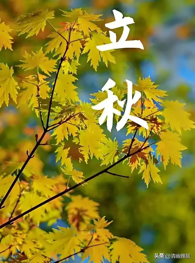 早安,晨语:沈水秋声浓,星桥寄远行