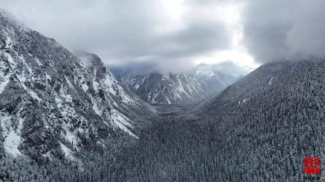 平武加入“大熊猫国家公园旅游目的地”品牌计划