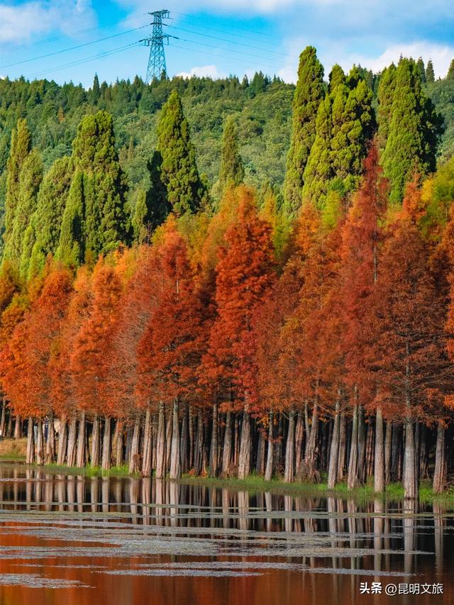 初冬氛围感出片计划,走起!昆明这份打卡攻略速速收藏→