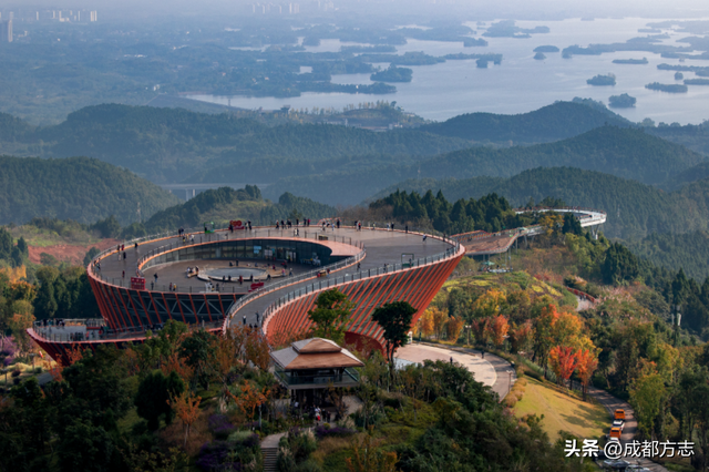 注意！这不是油画，而是成都的彩色秋天！