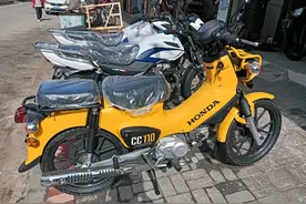 国产幼兽和新大洲本田新威武弯梁的对比！幼兽值不值万元价位图片