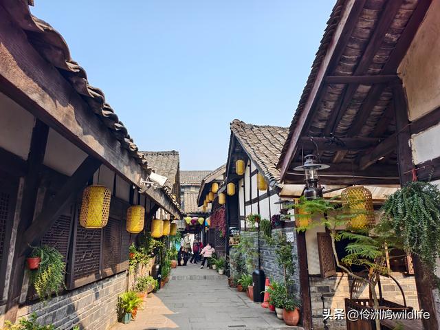 四川行(75)广汉②金雁湖公园·黑塔街·龙居寺