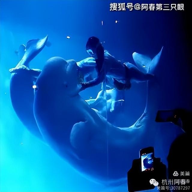 大连 之海洋世界