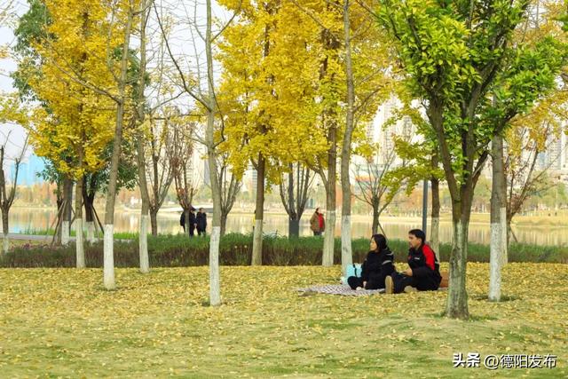 德阳冬季的“顶流”来了！错过等一年……