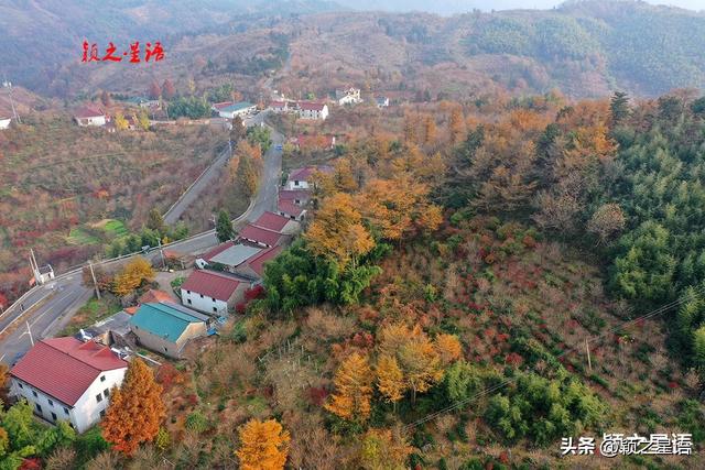 四明山脉的精华，四明山镇，全域皆风景