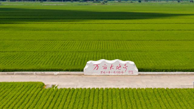 凝望北大荒：绿浪翻涌处，到处都是耕耘诗，我用心感受丰年之序曲