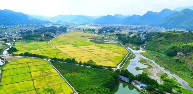 重庆东南有座“小成都”，美到犯规，不去后悔！