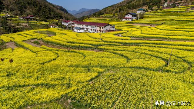 古栈道遇上梯田花海：宁强巴山藏着一处春日秘境