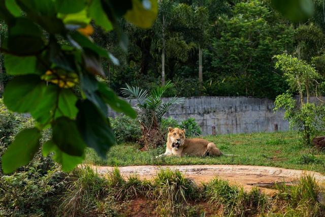 海口旅游，推荐海口10个必打卡的景点，治愈系的海滨城市，超好玩