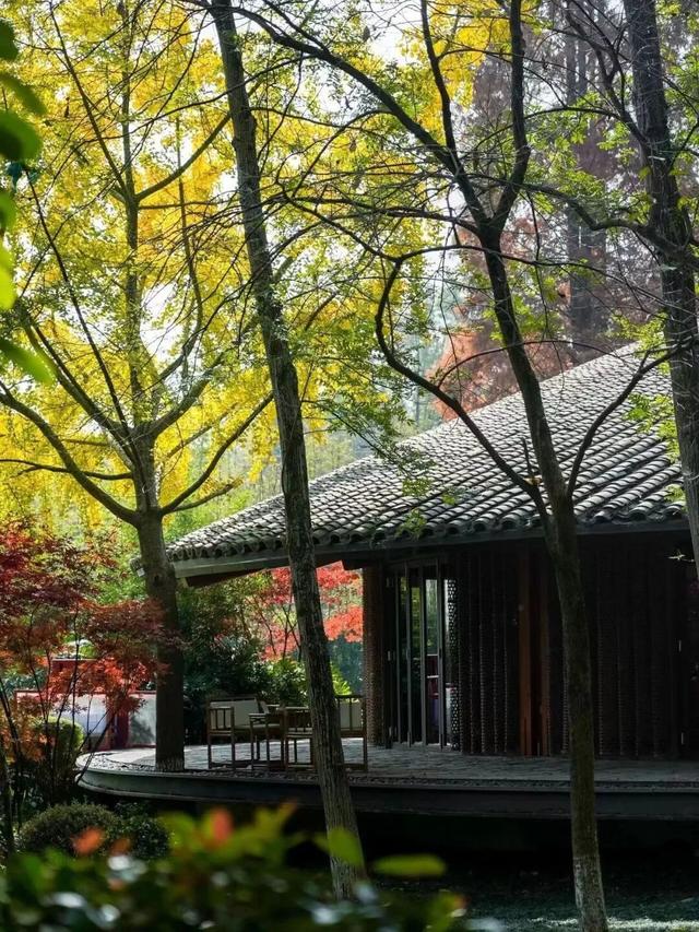 首个秋假怎么耍？不妨来一场从从容容、游刃有余的成都周边游