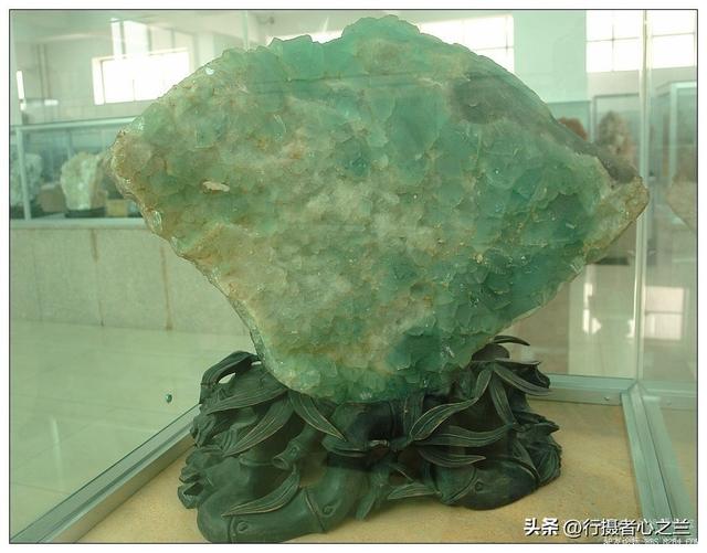 山东行游影记（31）—平邑天宇自然博物馆（六）