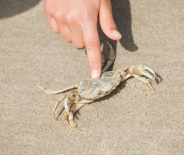 5年30多次带娃旅游后，我才发现：寒假孩子其实并不在意去哪里玩