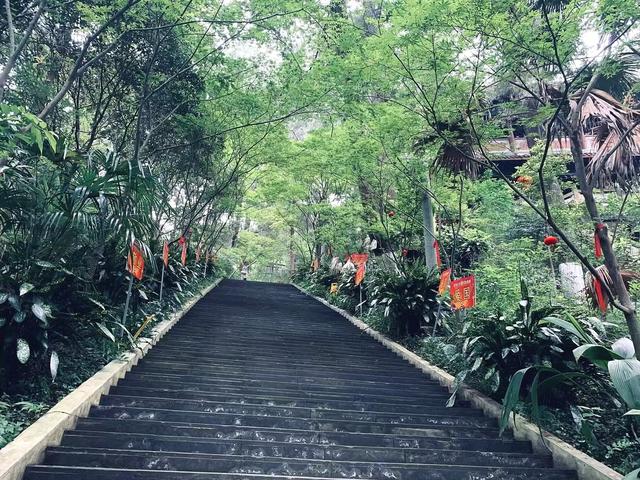 中国道教发源地游记