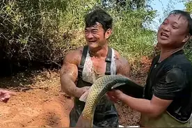 亏大了，健身圈网红李维刚花2万盘鱼塘遭村民疯抢，大呼：翻车了图片