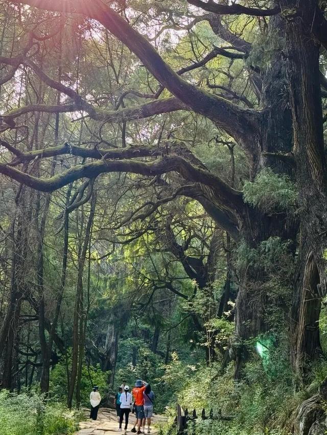 一般的拼豆我不拼，但你要说剑门关的拼豆我可感兴趣了！