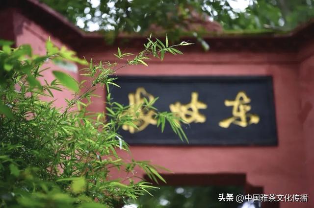 嘉州风光，诗意华章