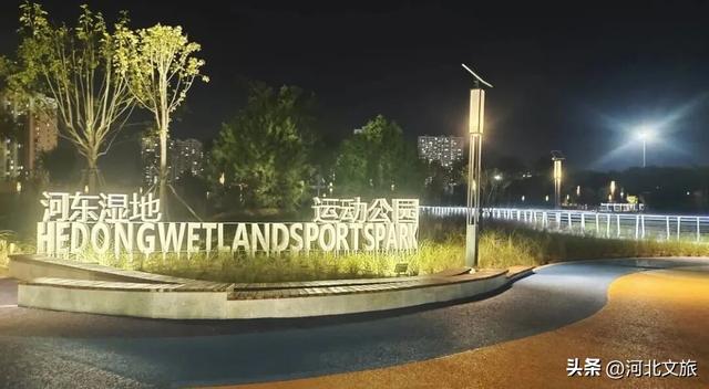 实拍!秦皇岛家门口的免费好去处,这个百亩湿地公园晚上也能逛~